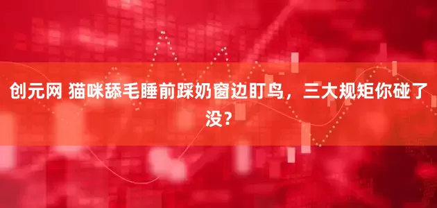 创元网 猫咪舔毛睡前踩奶窗边盯鸟，三大规矩你碰了没？