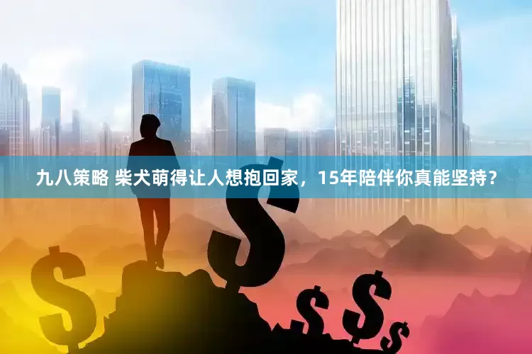 九八策略 柴犬萌得让人想抱回家，15年陪伴你真能坚持？
