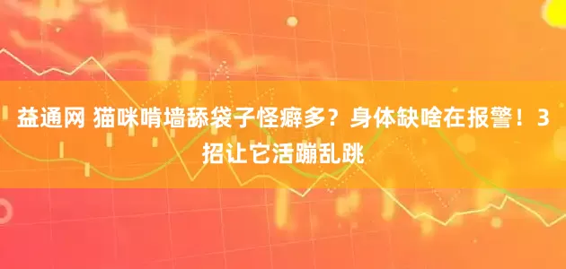 益通网 猫咪啃墙舔袋子怪癖多？身体缺啥在报警！3招让它活蹦乱跳