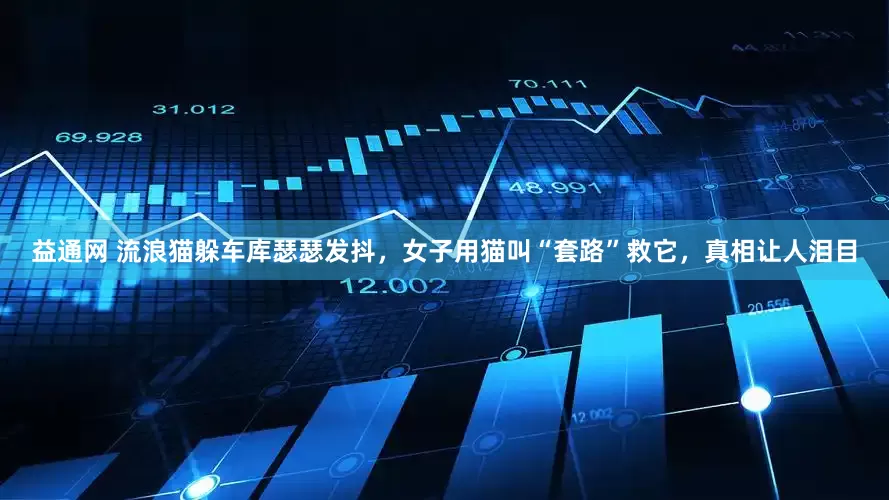益通网 流浪猫躲车库瑟瑟发抖，女子用猫叫“套路”救它，真相让人泪目