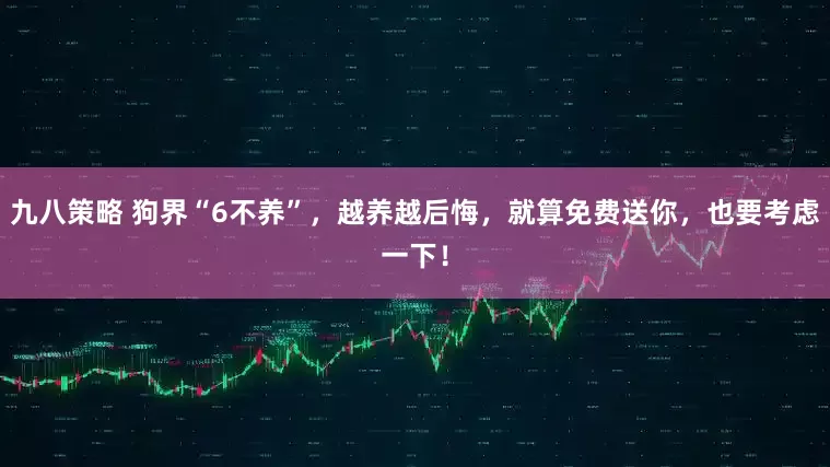 九八策略 狗界“6不养”，越养越后悔，就算免费送你，也要考虑一下！