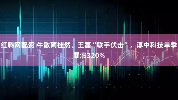 红腾网配资 牛散蔺桂然、王磊“联手伏击”，淳中科技单季暴涨320%